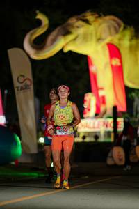 BIB: 
                            <button type="button" onclick="openModal(26533238)" class="btn btn-primary btn-sm float-right btn-popup" data-toggle="modal" data-target=".modal-high-quality">
                        <i class="fas fa-shopping-cart"></i> Add to Cart
                    </button>
                                            <button type="button" onclick="isThisMe(26533238, true)" class="btn btn-success btn-sm float-right btn-popup btn-isme hidden" data-toggle="tooltip" data-placement="bottom" title="นี่คือรูปของคุณใช่ไหม คลิกที่นี่เพื่อเอาเข้าอัลบั้ม">
                        <i class="fas fa-plus"></i> Add to album
                    </button>
                    <button type="button" onclick="isThisMe(26533238, false)" class="btn btn-warning btn-sm float-right btn-popup btn-isnotme hidden">
                        <i class="fas fa-ban"></i> Remove from album
                    </button>